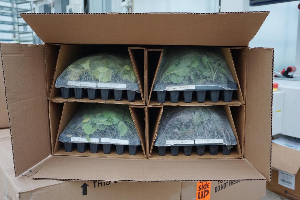 Shipping and Delivery | Banner Greenhouses
