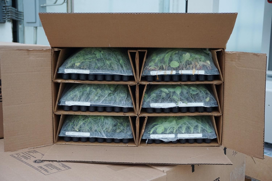 Shipping and Delivery | Banner Greenhouses