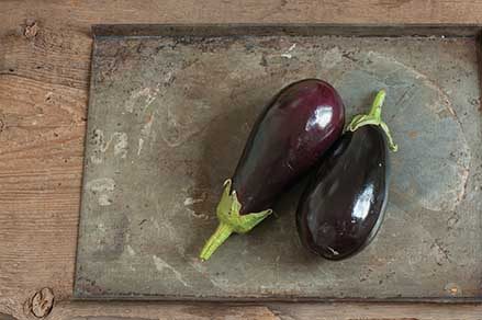 Galine Eggplant