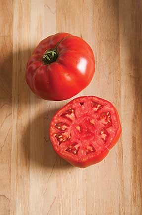 Marbonne Grafted Tomato