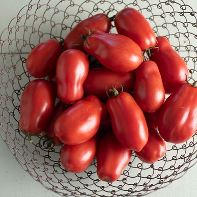 Tomato San Marzano II