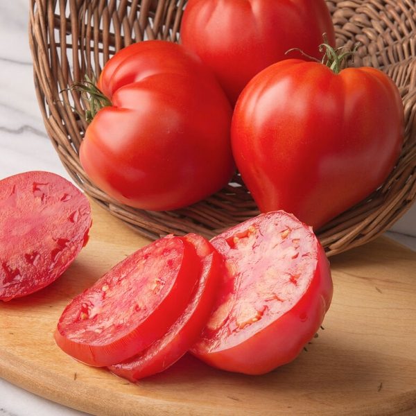 Cauralina Grafted Tomato