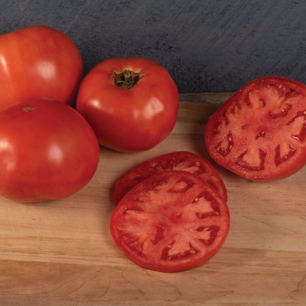 Galahad Grafted Tomato