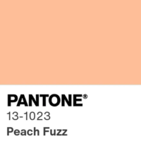 2024 Color of the Year - Peach Fuzz